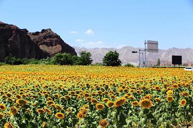 恐怖游戏《父亲节》今日上线Steam  今年第一季度发售