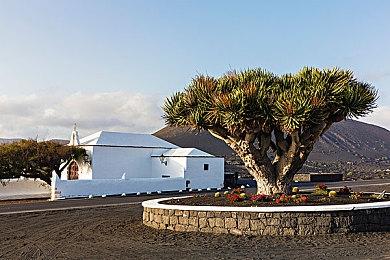 美任发推引猜疑 粉丝猜《动森》新作要来了？