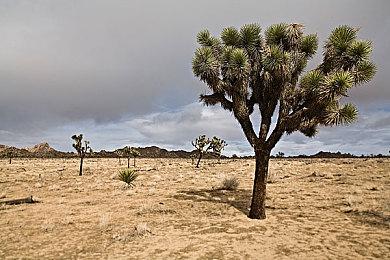 喜欢吗？AI生成的《CS：GO2》概念图是这样